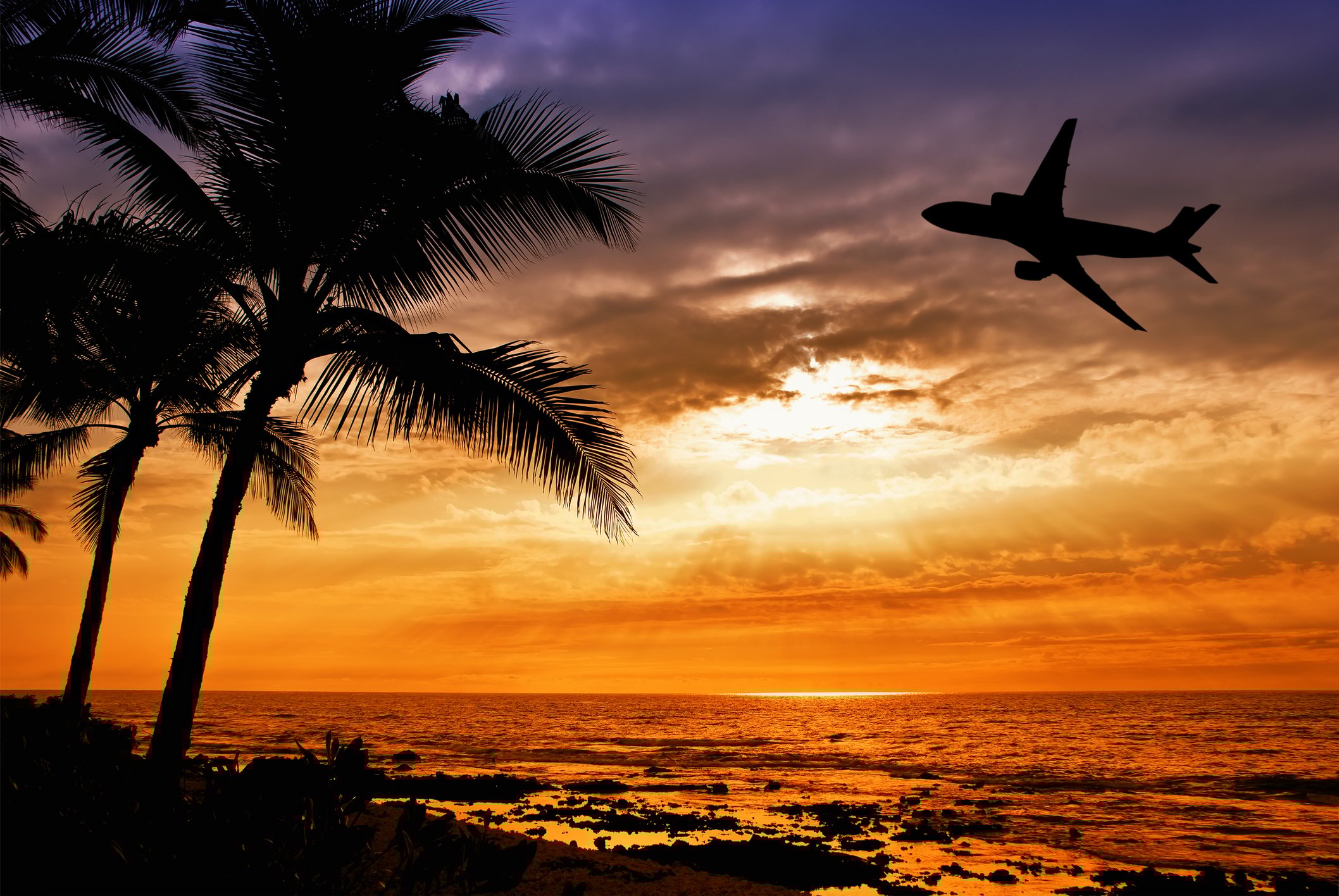 Sunset with palm tree and airplane silhouette