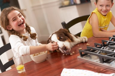 kid dog cereal source getty