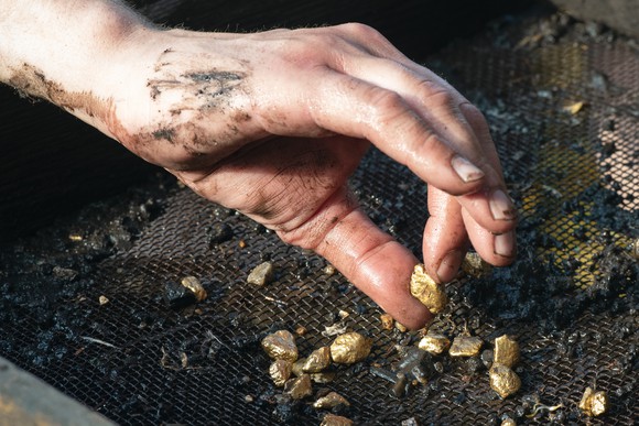 A man picks up a gold nugget from a screen.