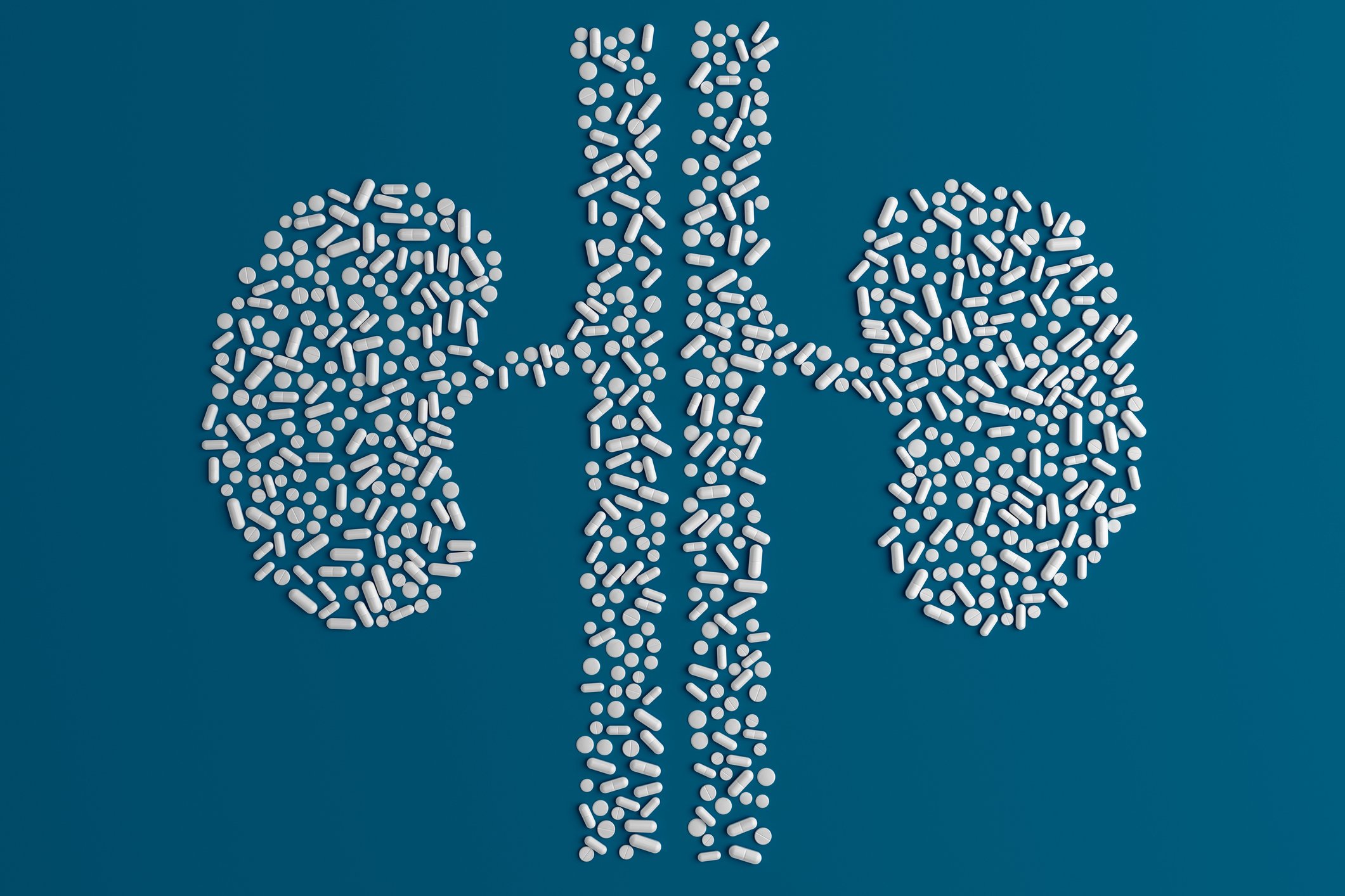 Kidneys made out of pills.