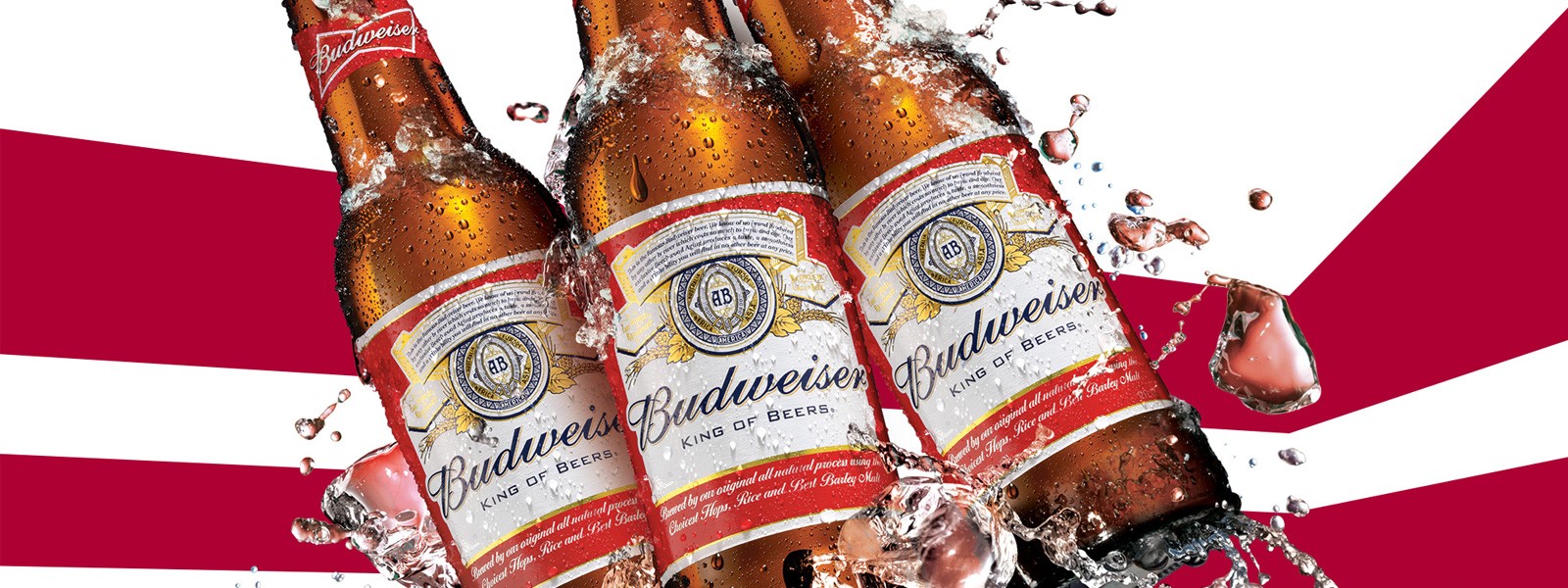 Three bottles of Budweiser against a red and white background.