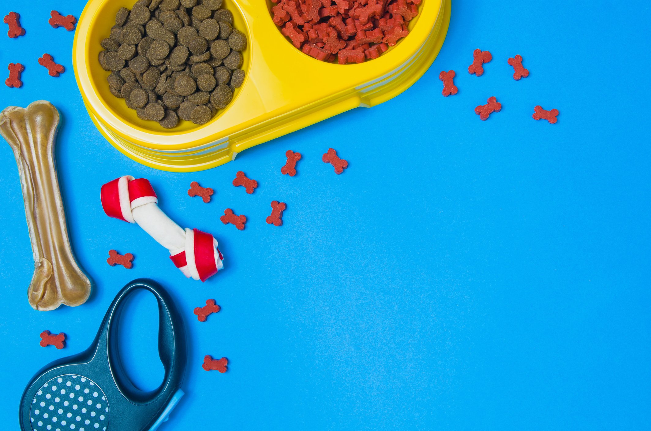 assorted pet care products and food