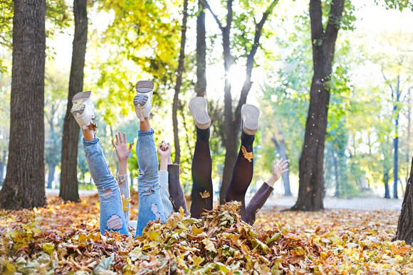 Two people, with their legs up in the air, falling into a pile of leaves in a park.