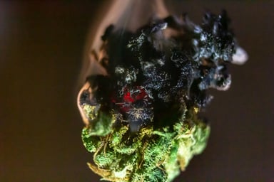 Marijuana bud burning