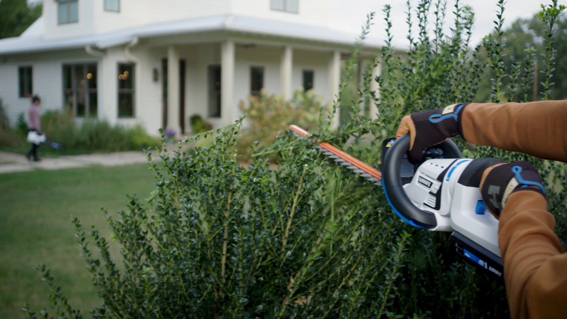 Someone uses a Hart trimmer on a bush.