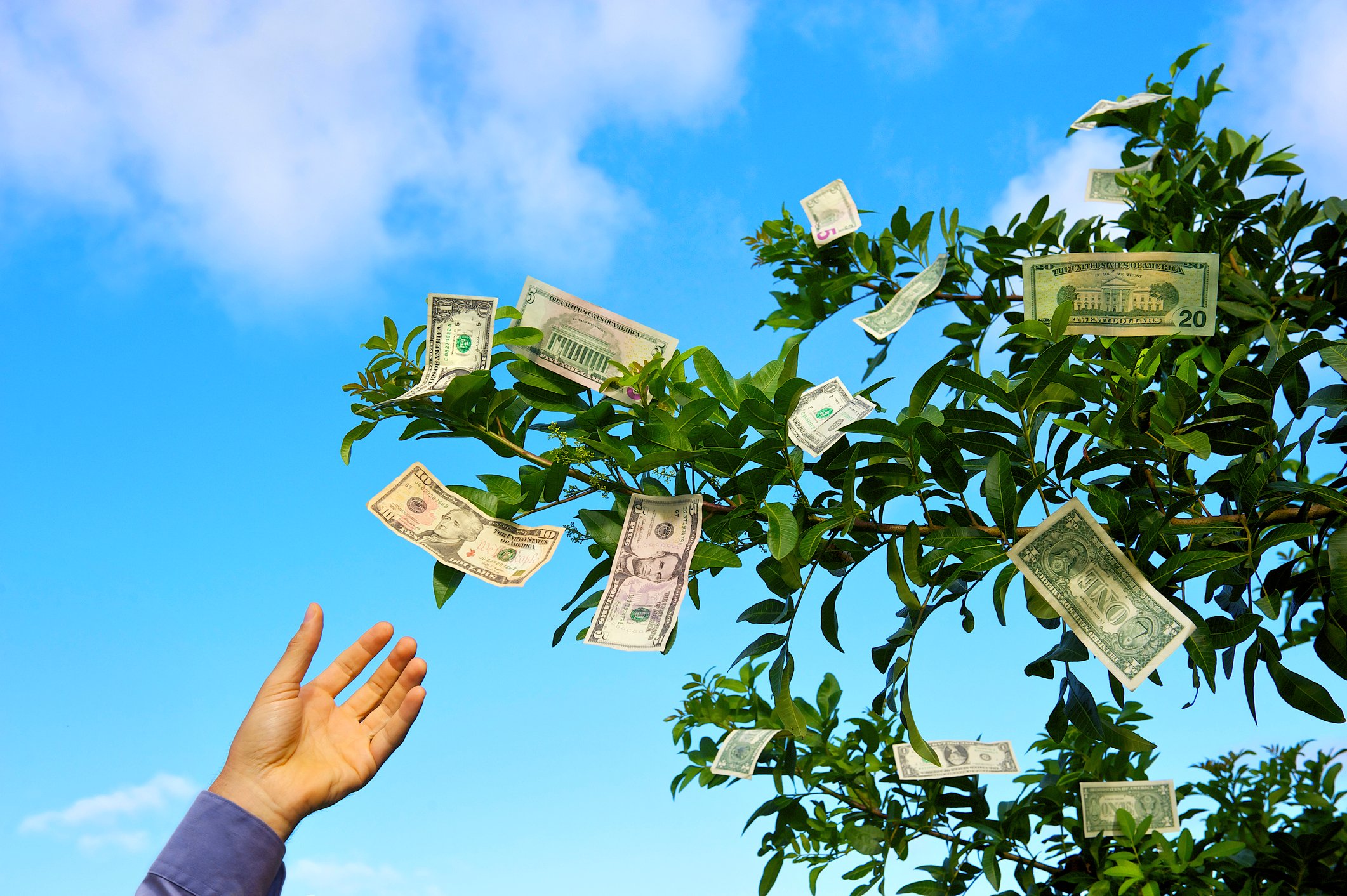 Hand reaching up to pluck money from tree
