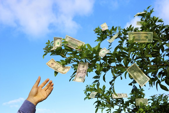Hand reaching up to pluck money from tree