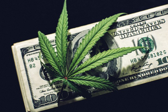 A cannabis leaf on top of a stack of hundred dollar bills