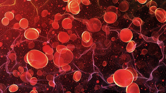 Red blood cells traveling inside an artery