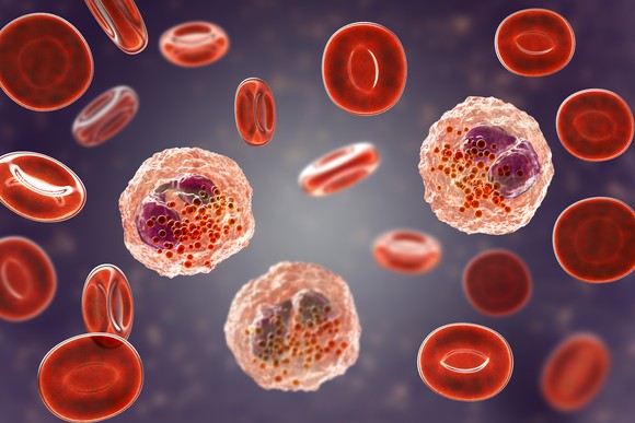 Red blood cells