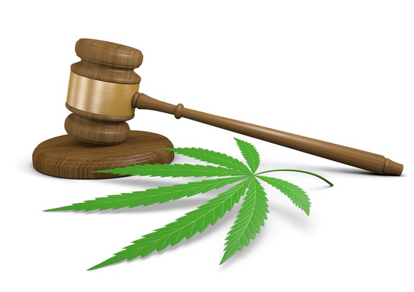 Cannabis leaf with gavel