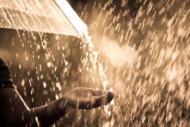 Umbrella in the rain