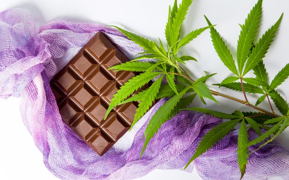 Cannabis stem and leaves next to a block of chocolate