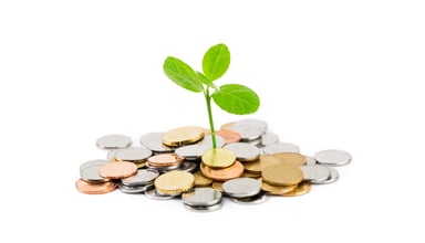 Plant Growing From Pile of Coins