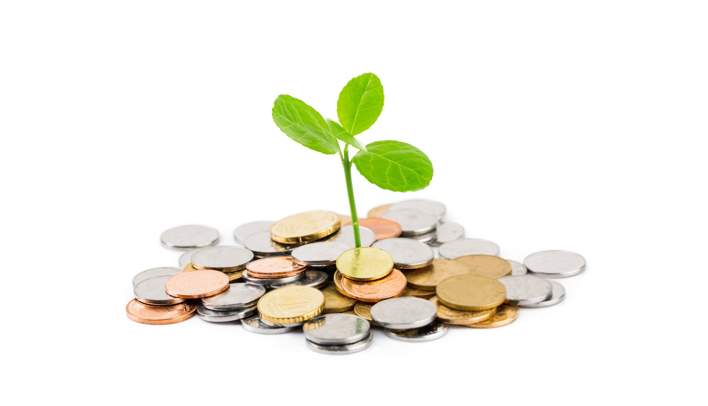 Plant growing from pile of coins. 