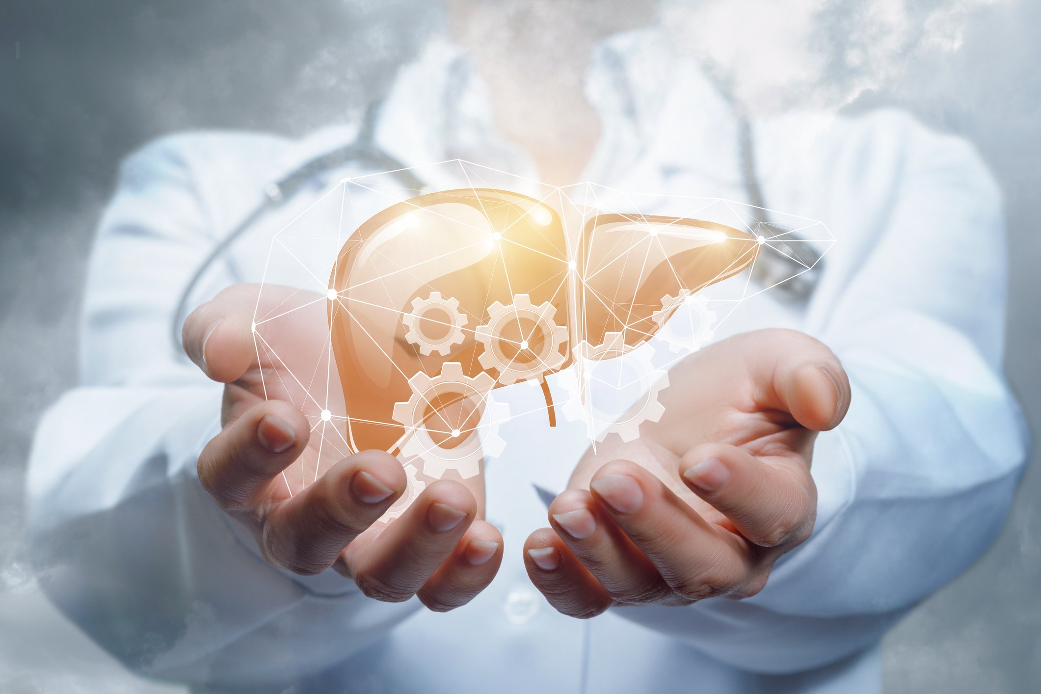 Doctor's hands holding image of liver