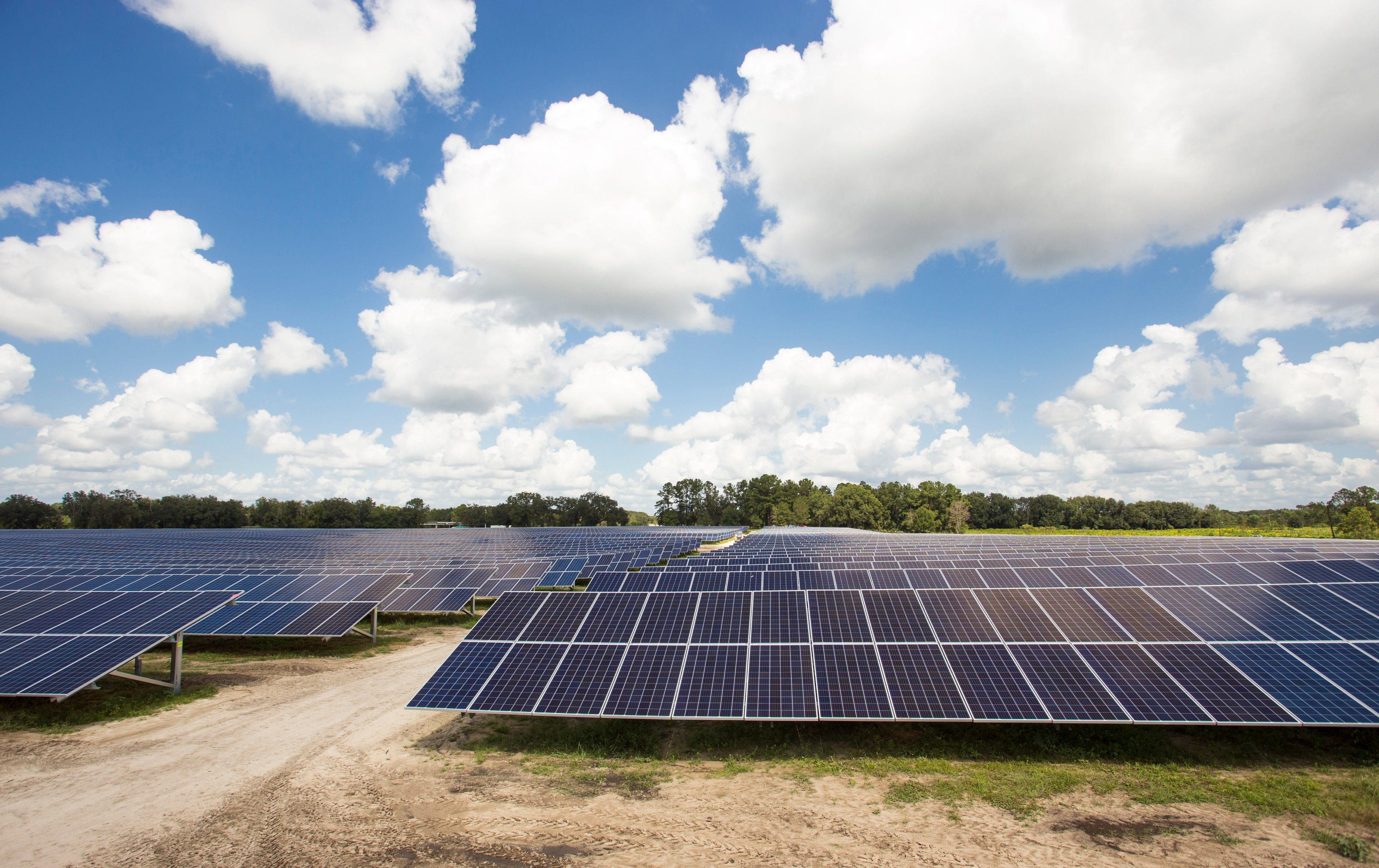 Solar panel array in a field.
