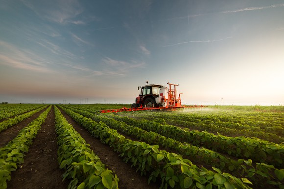 A tractor in a field of soybeans. 