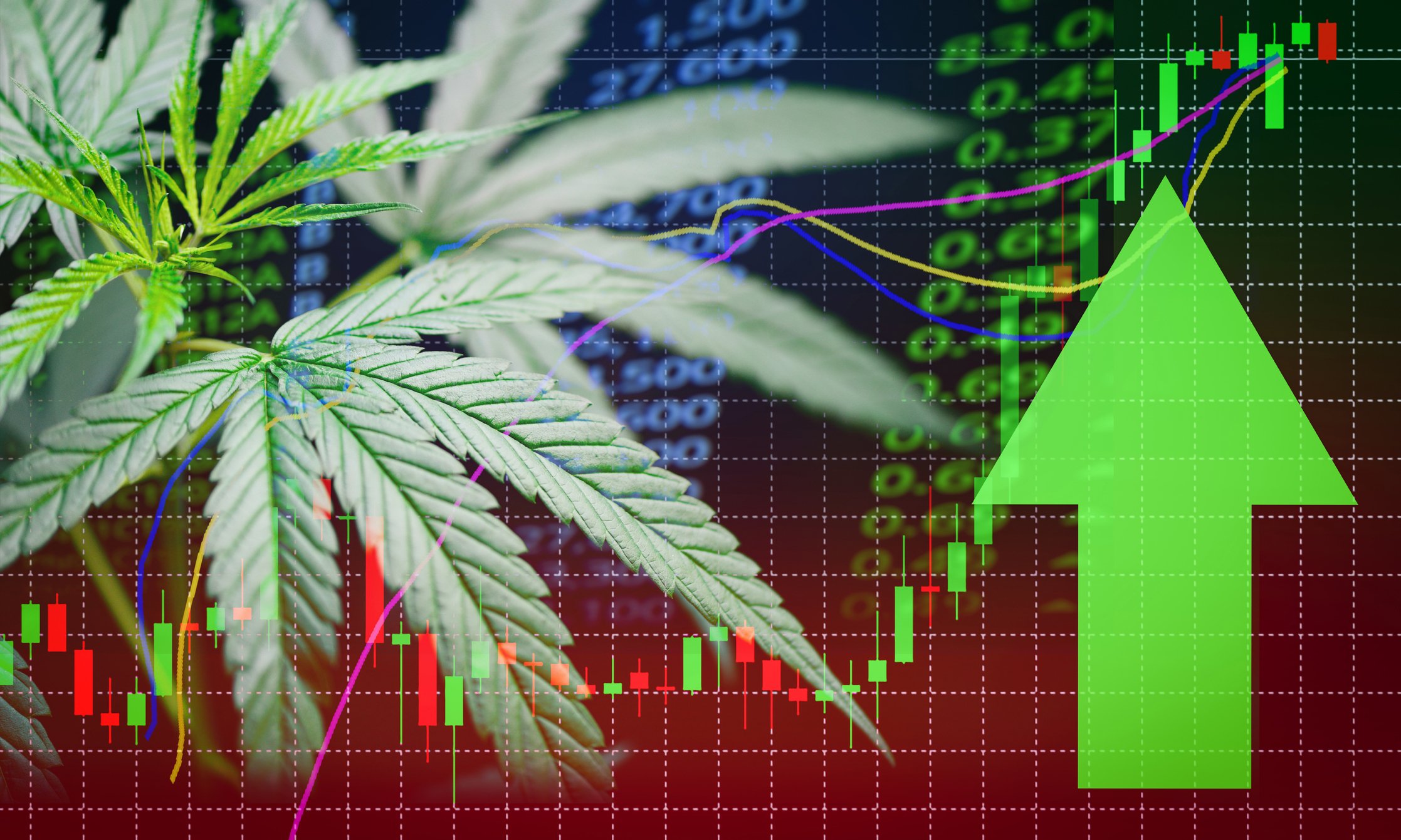Cannabis leaf with green arrow pointing up and a stock chart and stock prices in the background