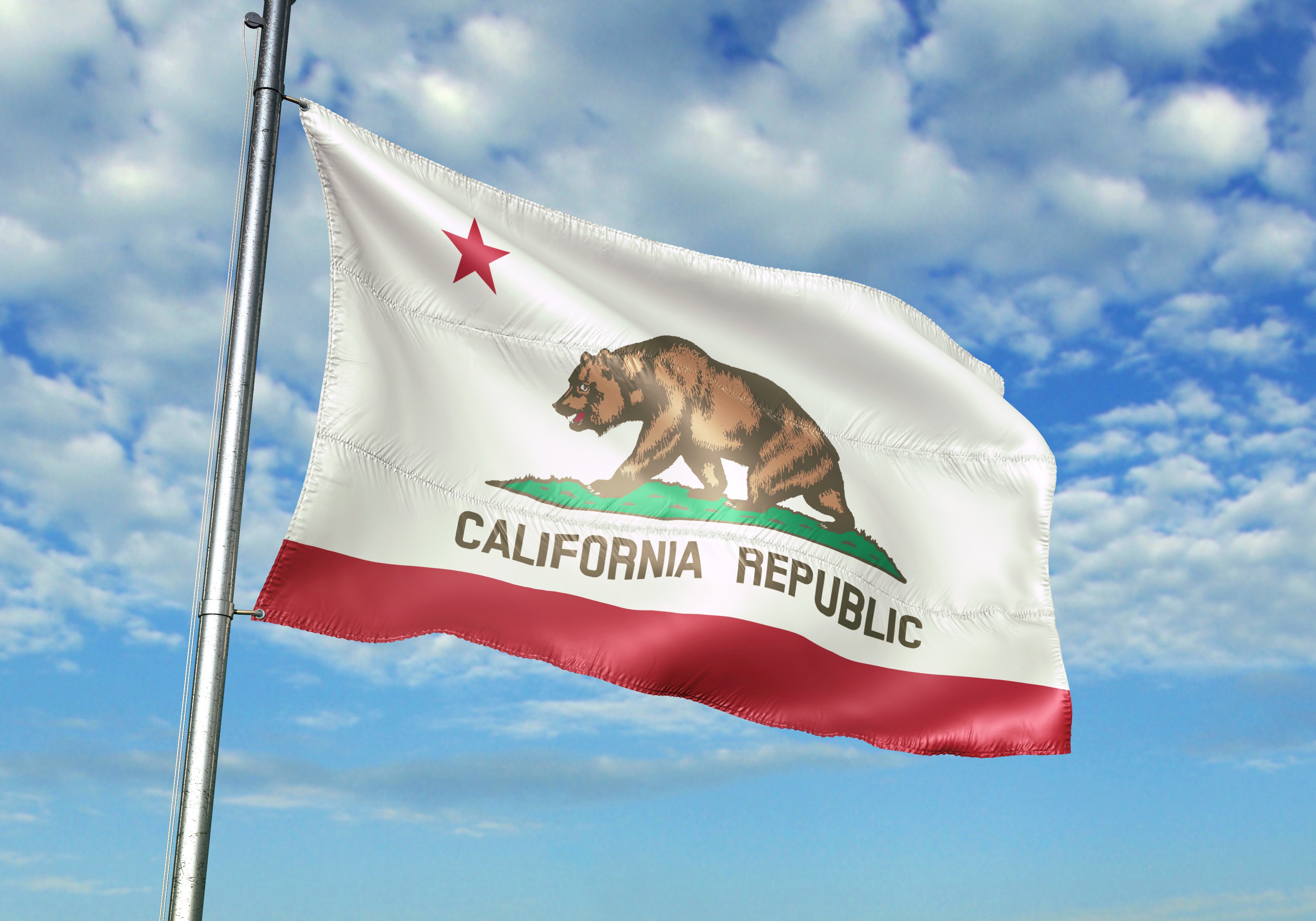 The California flag flying in the breeze.
