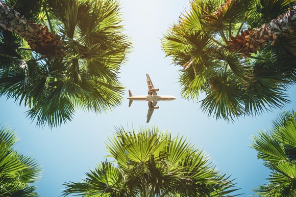 A plane flies over tropical palm trees.