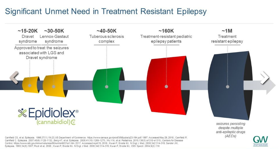 Unmet need in treatment-resistant epilepsy diagram
