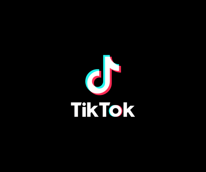 TikTok logo.