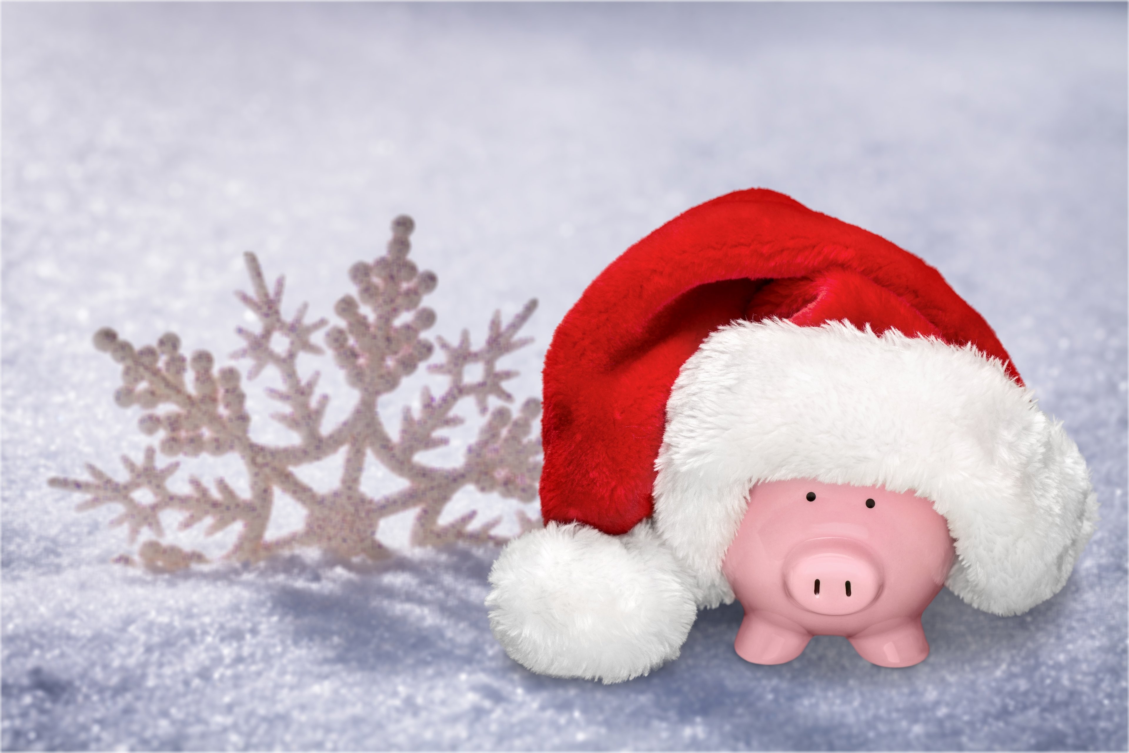 piggy bank in snow with Santa hat on it