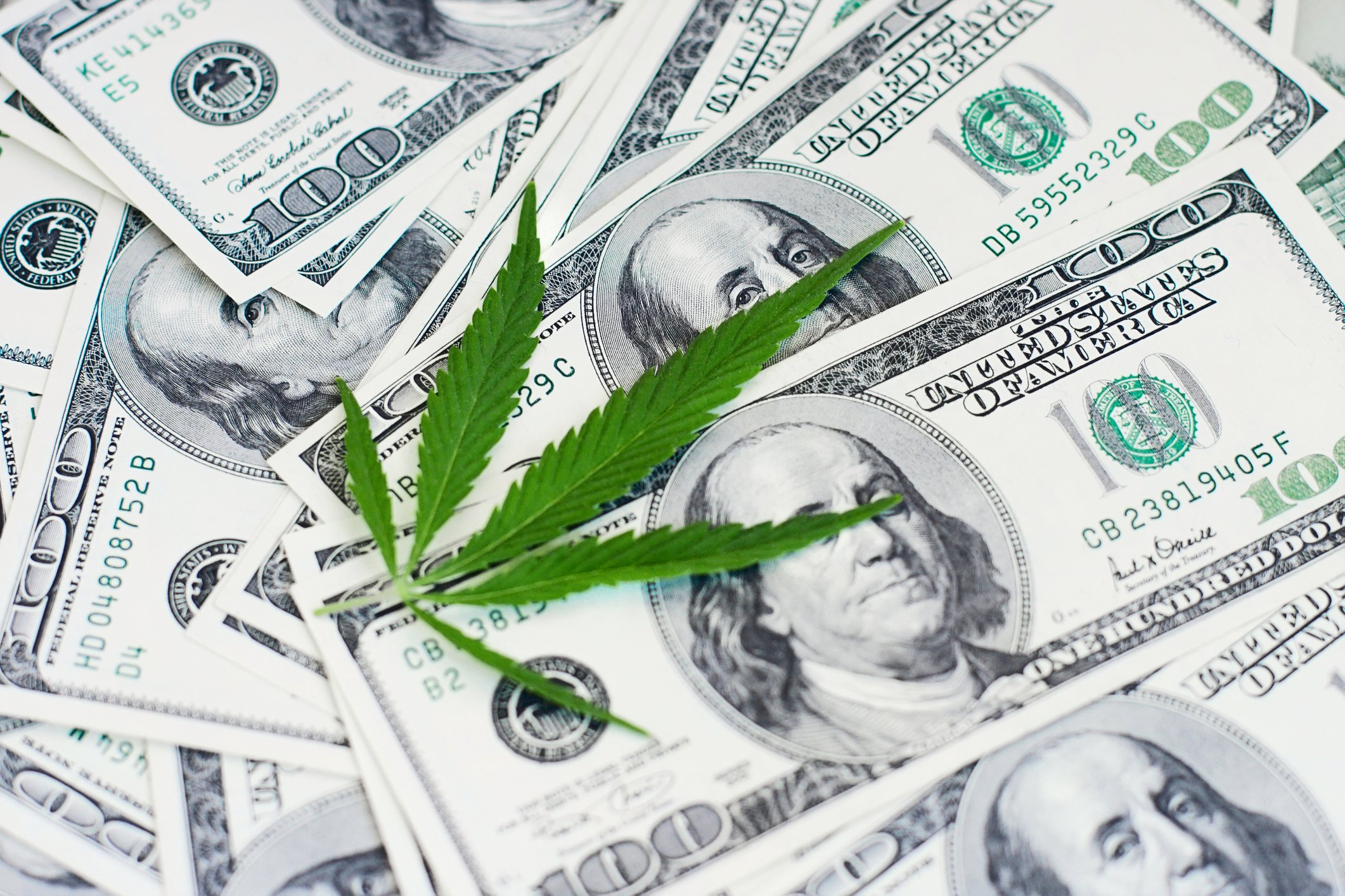 Cannabis leaf on top of $100 bills