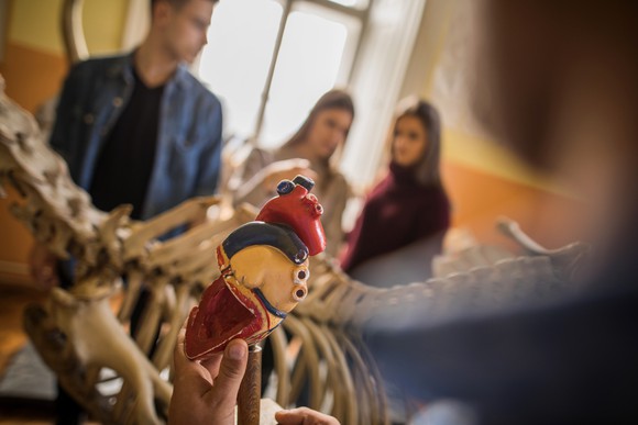 A person holding an artificial heart during a class.