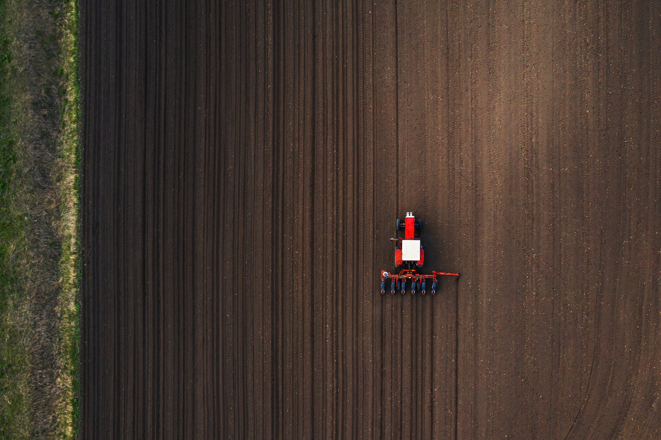 top view of tractor planting seeds