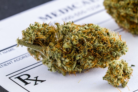 A dried cannabis bud lying atop a doctor's prescription pad.