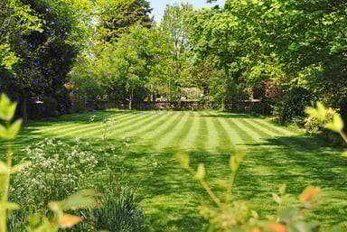 lawn