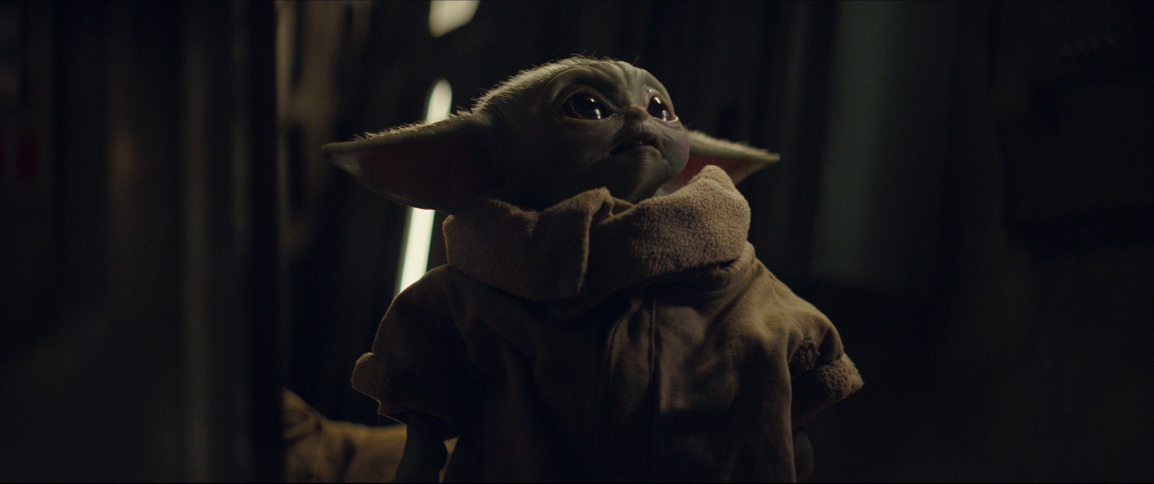 The Child, or as it's more commonly referred, Baby Yoda.