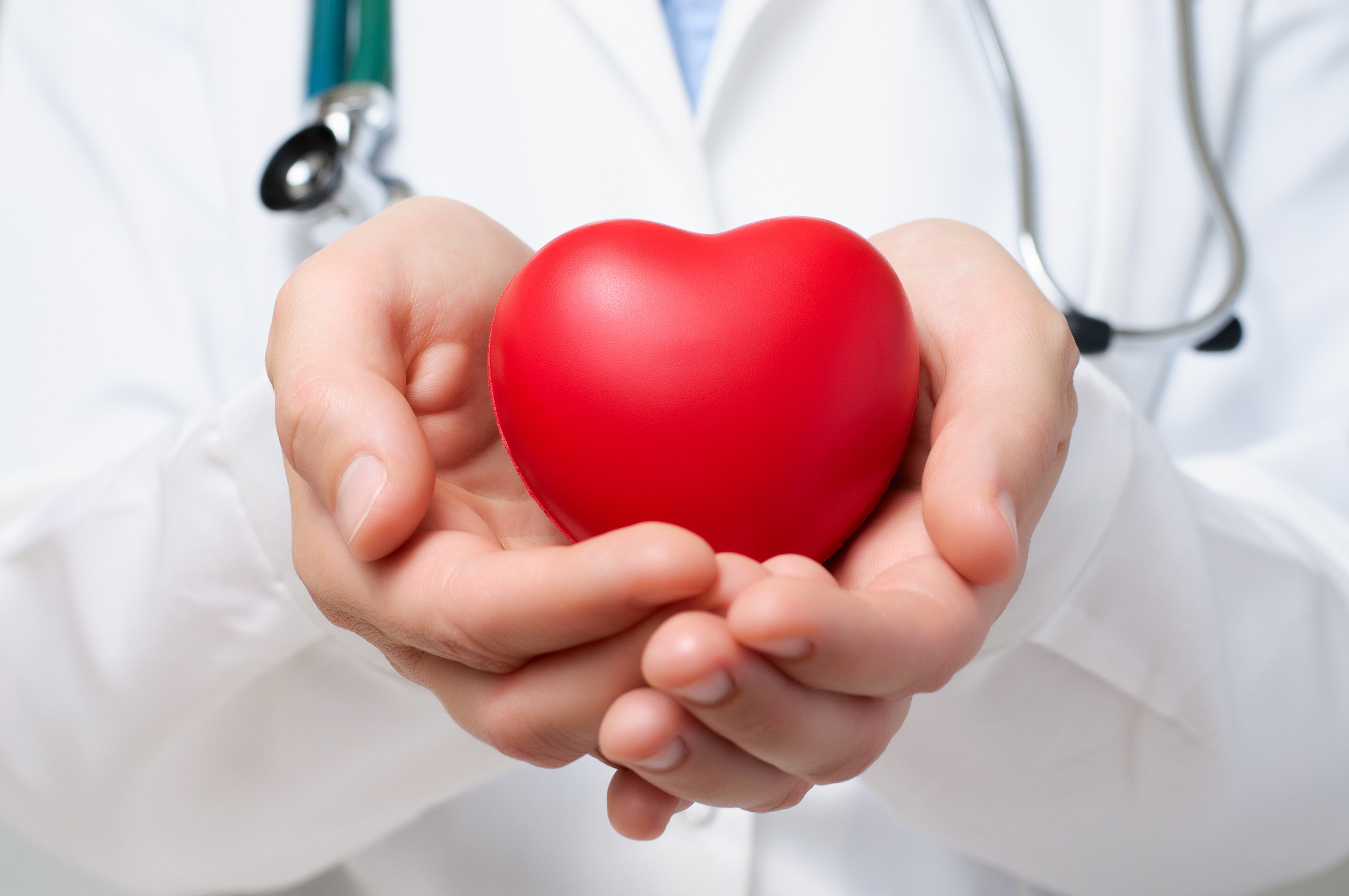 Doctor holding a heart shaped object