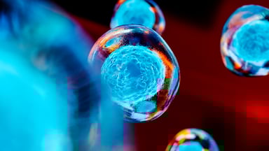 GettyImages-1135352068