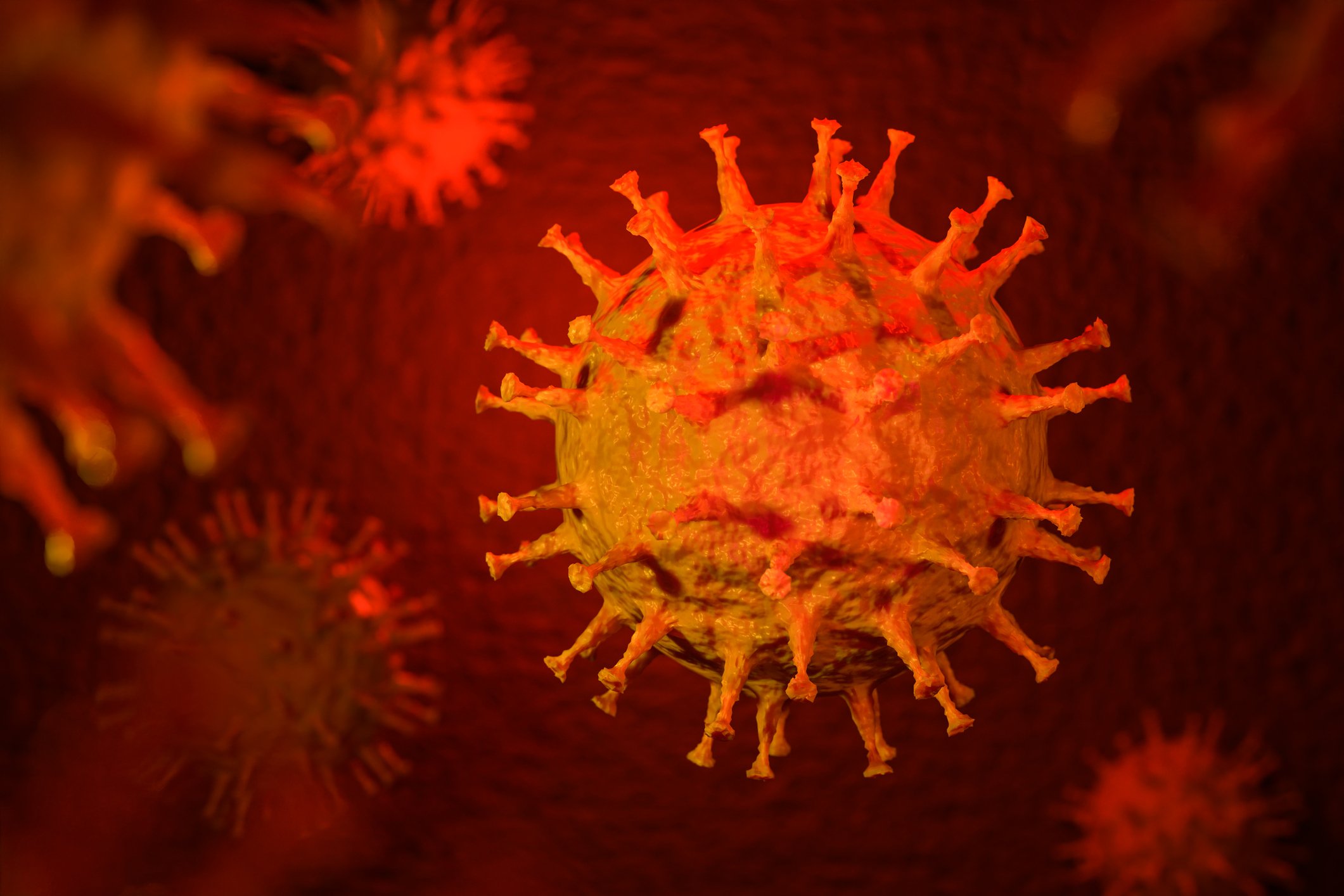 Rendering of a coronavirus.