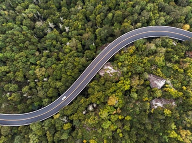 Aerial view of a road winding through a forest