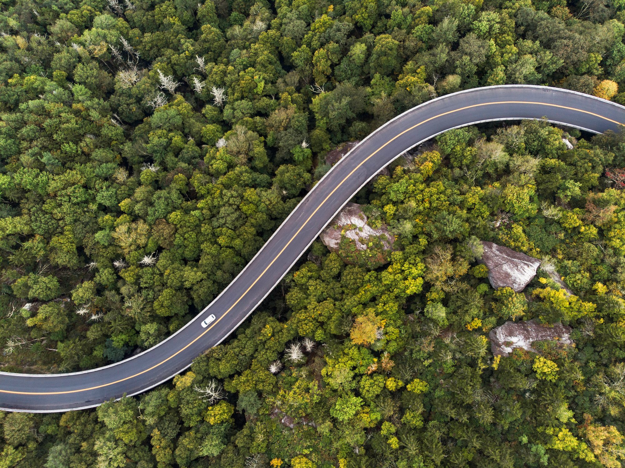 aerial view of a road winding through a forest