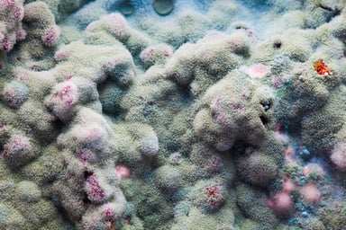 GettyImages-669716286