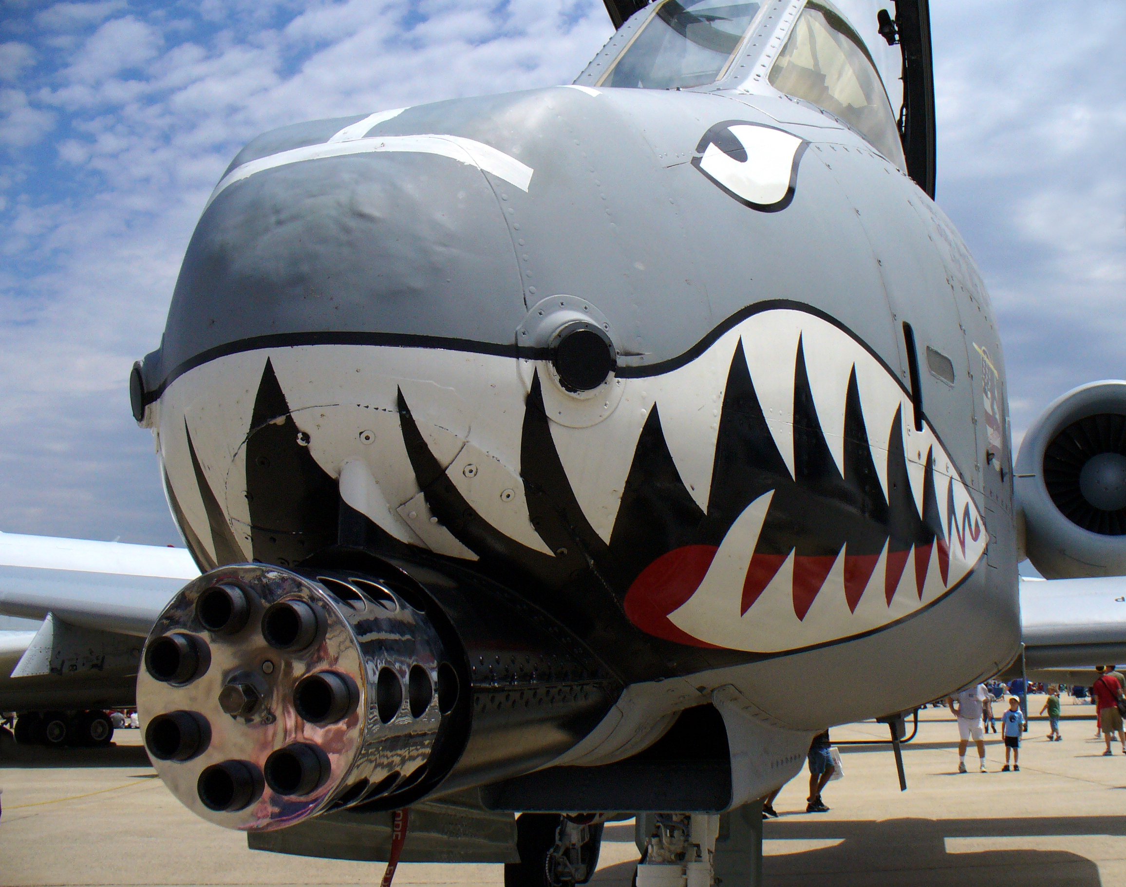 Close up photo of A-10 Warthog and its big gun.