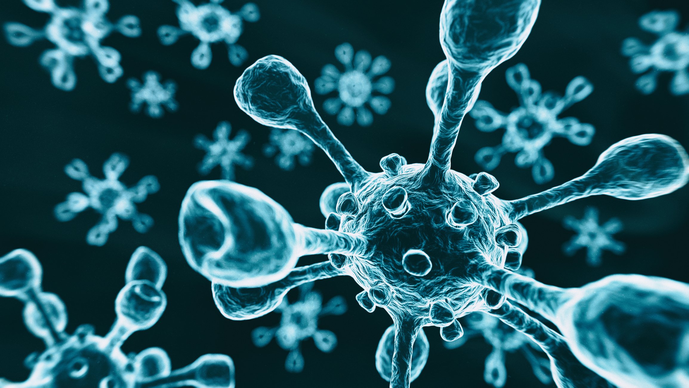 3-D rendering of Covid-19