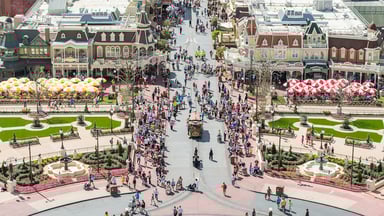 Disney park 2
