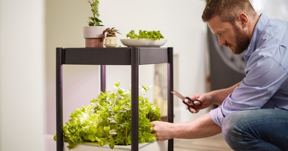 Scotts Miracle-Gro indoor growing system.