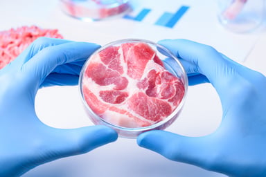 Lab Meat