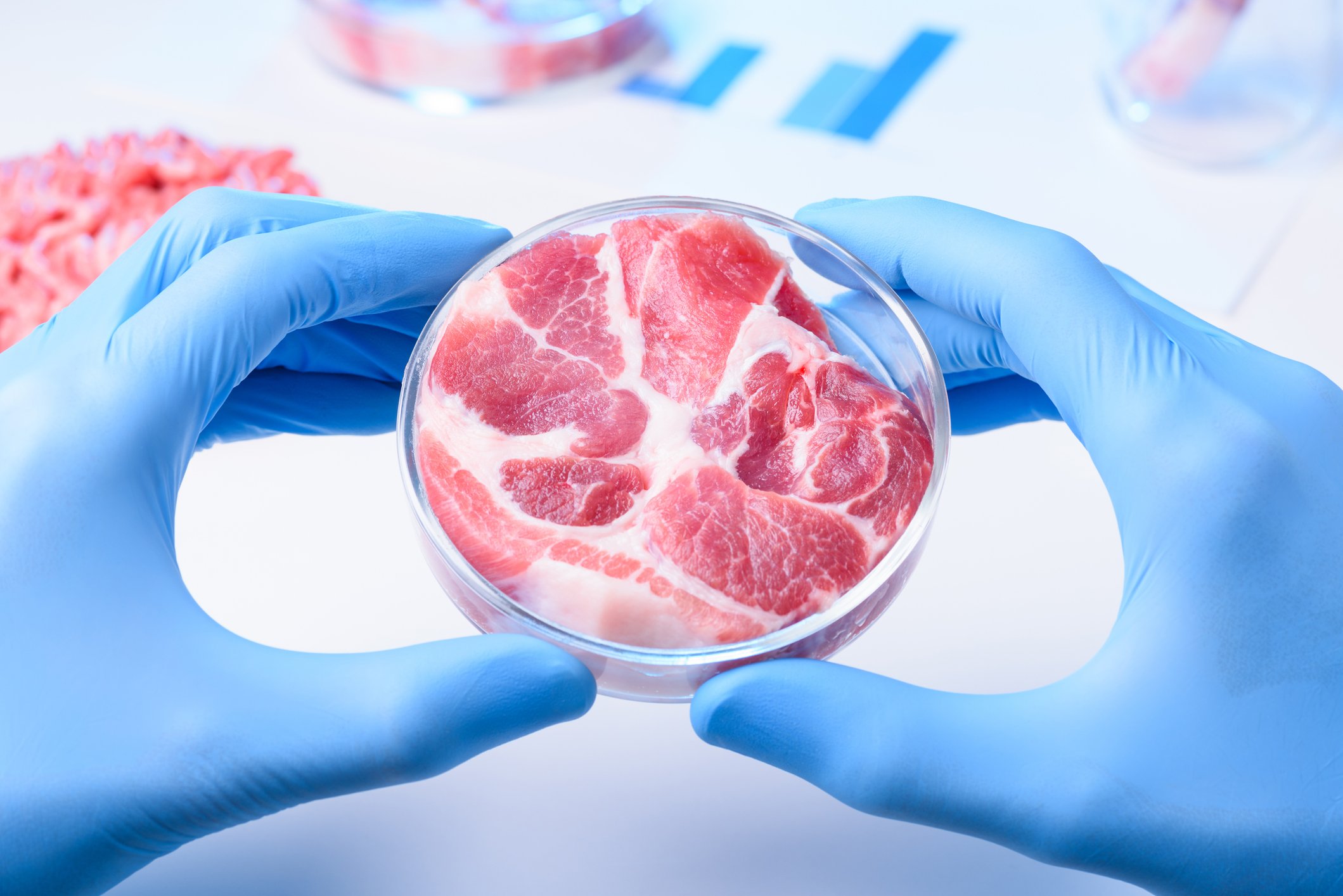 A piece of meat in a petri dish.