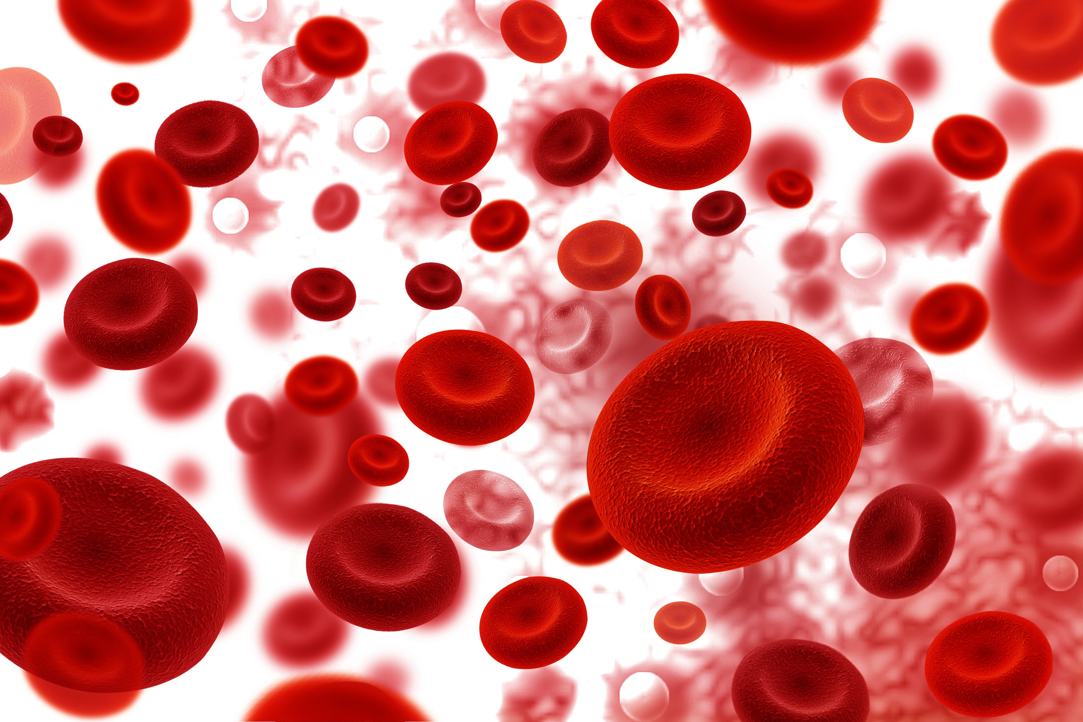 Blood cells