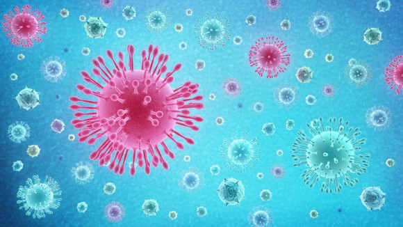 An artist's rendering of a group of coronaviruses