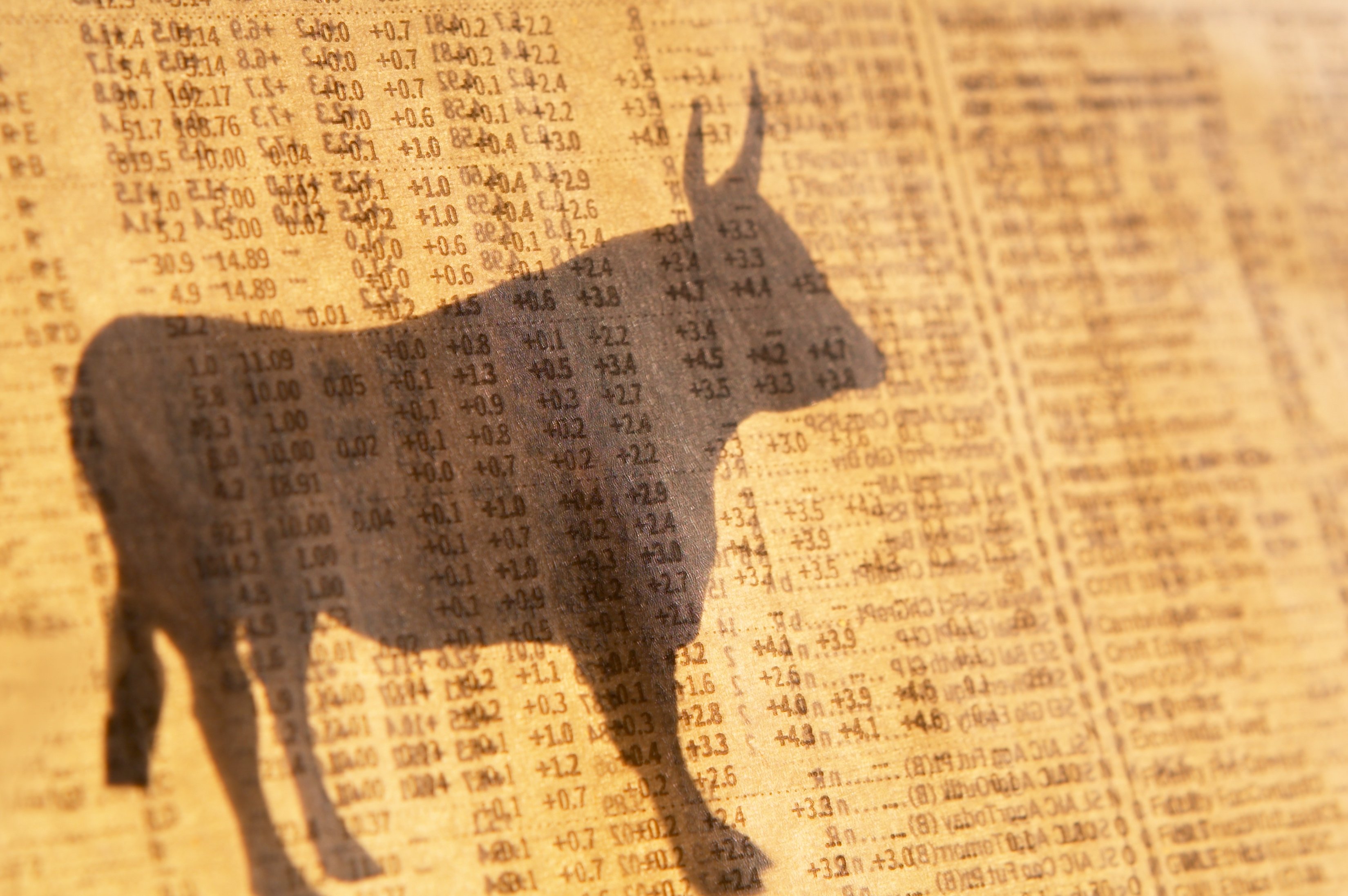 Shadow of a stock market bull on the floor