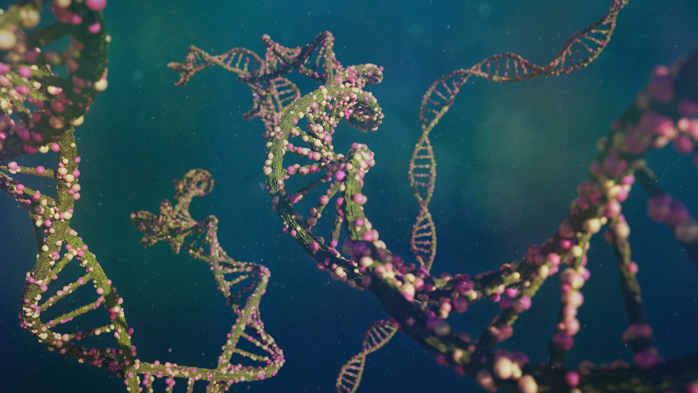 Strands of DNA carrying genetic instructions are shown against a green background.